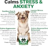 NutriPaw Calming Treats For Dogs Twin Value Pack 120 Chews view 6