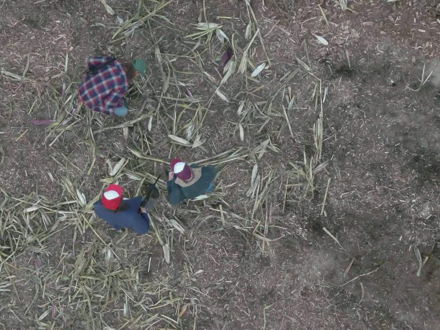 Watch Buried in the Backyard Season 3 | Prime Video