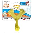 Nylabone Axis Bone Power Chew Toy for Dogs, Dog Toys for Aggressive Chewers, Vanilla Flavor, Small - Up to 25 Ibs, 1 Count