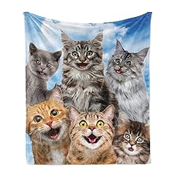 Ambesonne Kitty Throw Blanket, Kitten Cat's