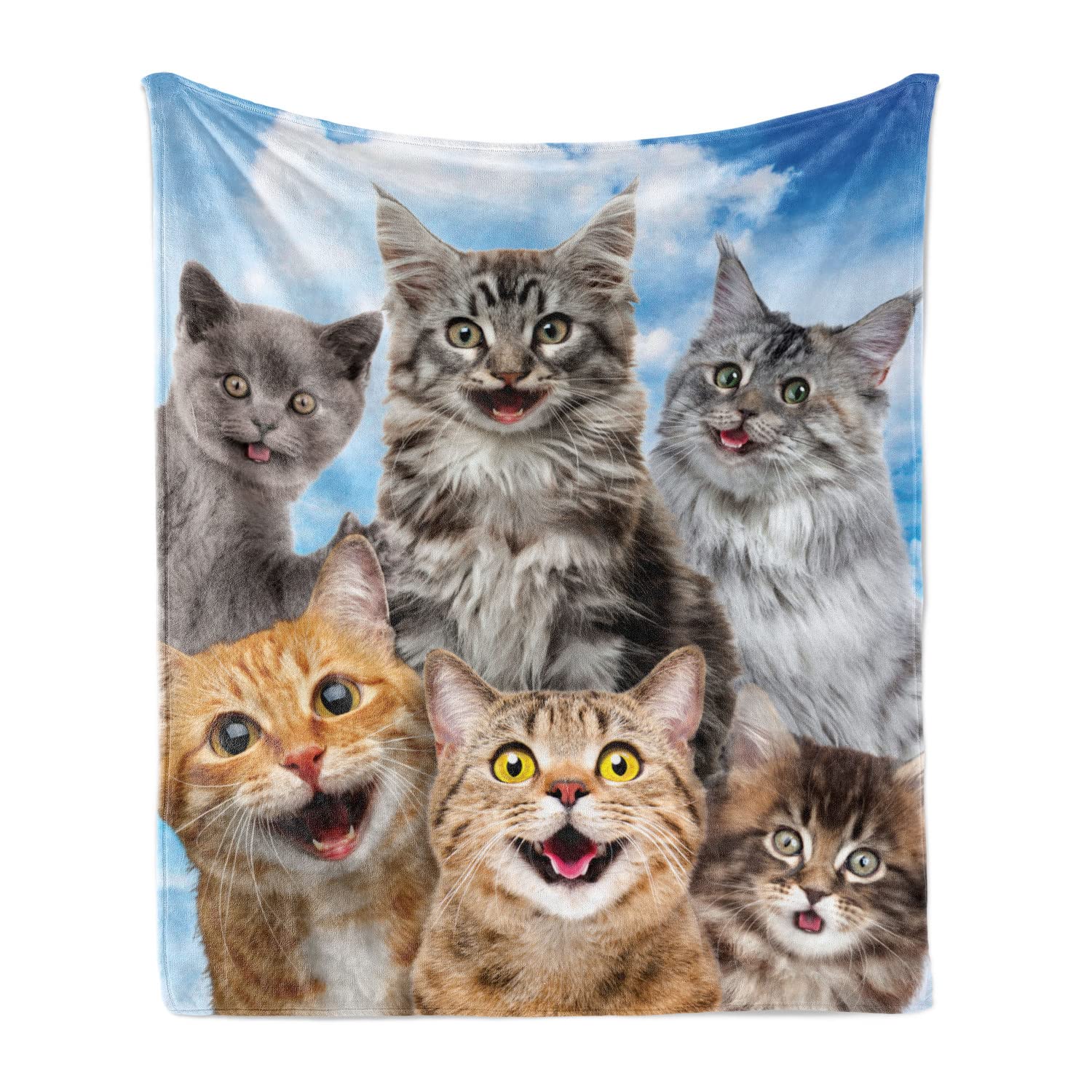 Ambesonne Kitty Throw Blanket, Kitten Cat's