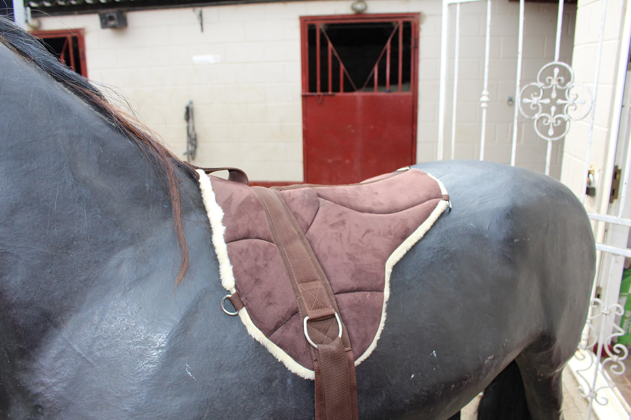 Azhan Equipride Anti Slip Bareback Pad with Girth & Stirrup Avaialble in 4 Colours