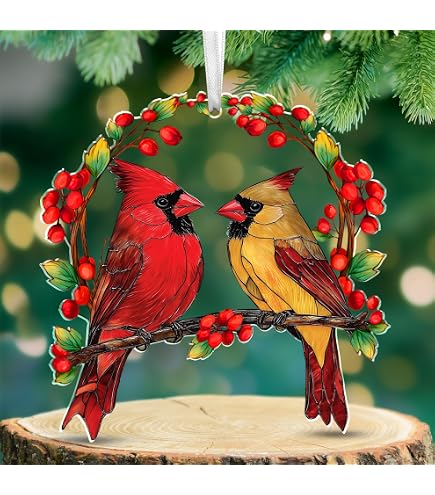 FLAGWIX Kardinal-Sonnenfänger – Weihnachtsdekoration & Beileidsgeschenk In Einem