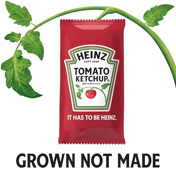 HEINZ KETCHUP SINGLE SERVE PACKET (0.3 OZ PACKETS, PACK OF 200)