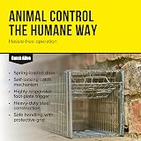 The Big Cheese Defenders Rat & Squirrel Cage Trap Humane Galvanised Metal view 4