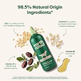 Earth Rated 3-in-1 Deshedding Dog Shampoo 473 ml White Tea Basil view 3