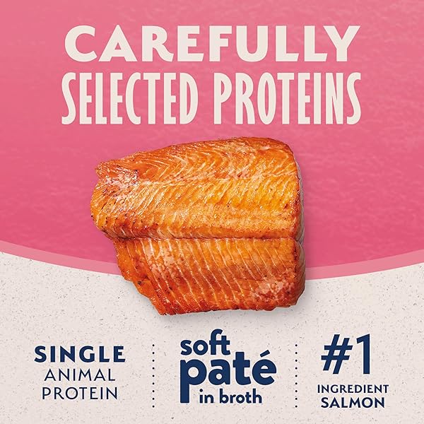 NATURAL BALANCE LIMITED INGREDIENT SPLIT CUP SALMON & SWEET POTATO SOFT PATE WET CAT FOOD RECIPE FOR SENSITIVE STOMACHS AND FOR HEALTHY DIGESTION, 2.6 OZ.