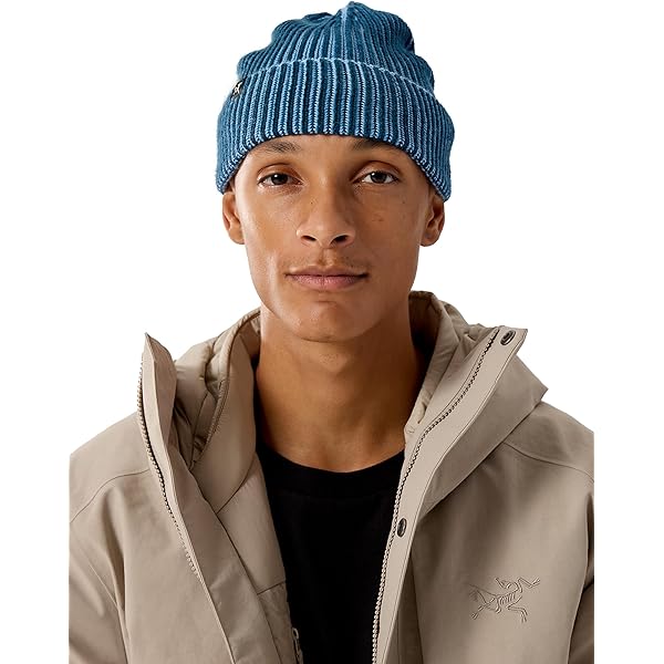 Amazon.com: Arc'teryx Bird Head Toque | Our Classic Winter Toque