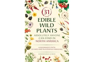 31 Edible Wild Plants Absolutely Anyone Can Find in North America: A Beginner's Path to Safe and Successful Foraging