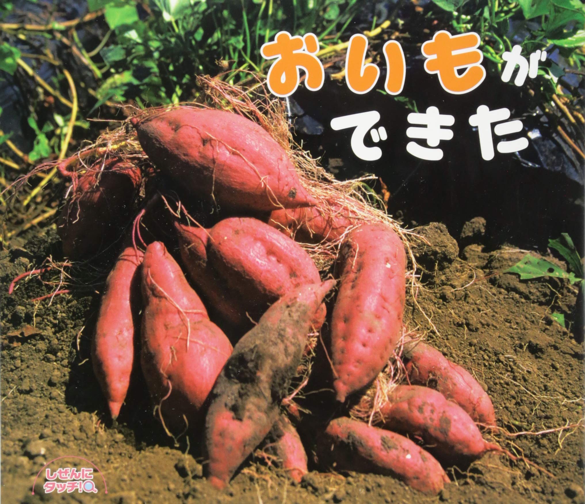 おいもができた しぜんにタッチ 3歳 4歳 5歳からの絵本 馬場隆 榎本功ほか 本 通販 Amazon