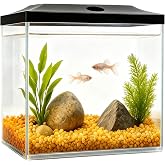 SW PRODUCTS 0.8-Gallon Cube Small Fish Tank, Shatterproof Plastic Fish Tank with LED Lighting, Temporary Fish Bowl for Fry, Isolation, Education &amp; Decoration