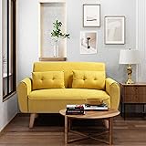 Shintenchi 47" Small Modern Loveseat Couch