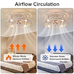 Garwarm 20" Caged Ceiling Fan With Light, Flush