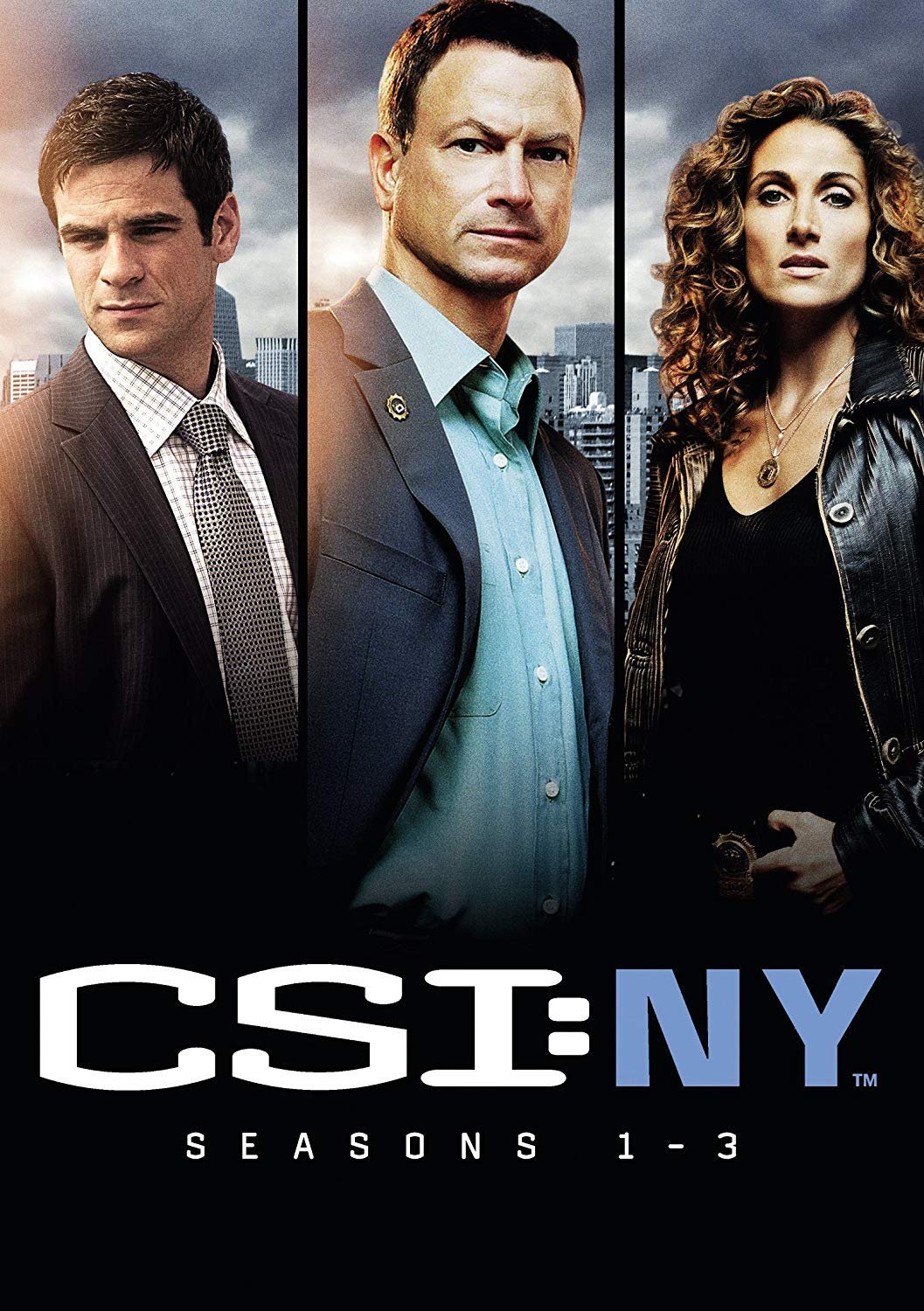 CSI New York Season 13 Boxset [DVD] Movies & TV