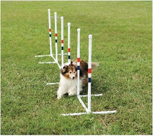 agility weave pole training
