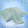 Elegear Cooling Pillow Cases for Hot Sleepers, Japanese Q-Max 0.45 Cooling Pillowcases, Both Sides[Cooling/Cotton], Breathable Soft Pillowcase for Hair and Skin, Set of 2-Green (Standard (20" x 26"))