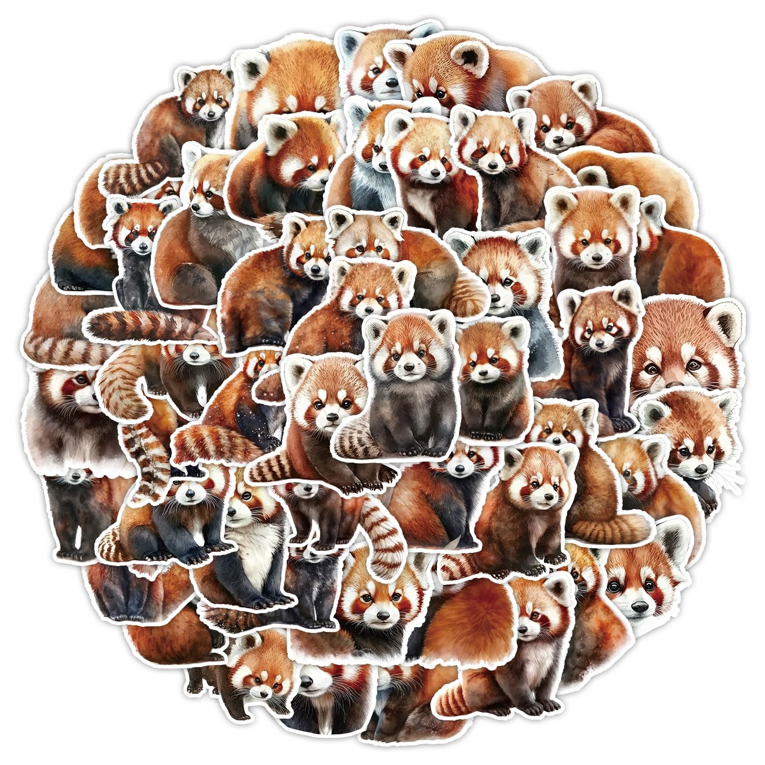 50PCS Raccoon Stickers for Helmet,Water Bottle,Car,Laptop,Skateboard,Phone,Luggage, Scrapbook,Bike,Waterproof Vinyl Animal Sticker,Children Adults Gift,Cute Cartoon Raccoon Graffiti Decals