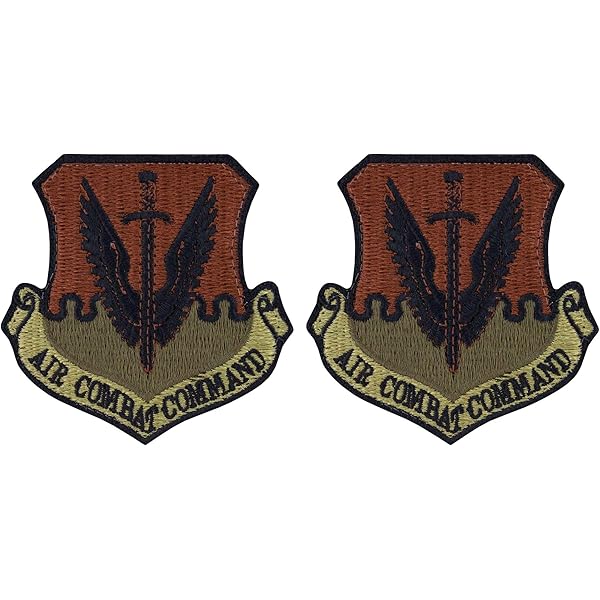 【激レア】US ARMY ROTC 首かけストラップ U.S. Army OCP ROTC CADET Rank - HOOK Fastener