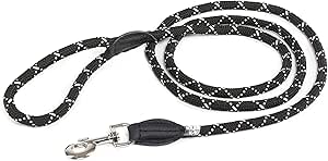 julius k9 double lead