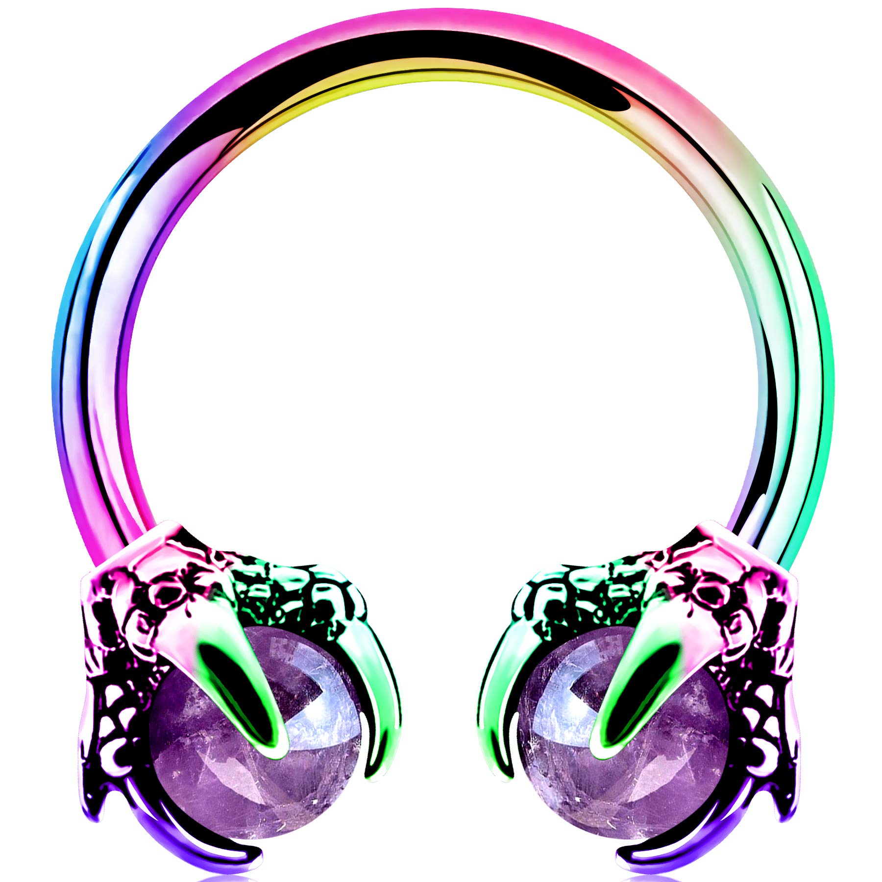 OUFER Body Piercing Horseshoe Earrings Helix Piercing 316L Surgical Steel Helix Earrings Dragon Claws Circular Ring Cartilage Earring Body Piercing