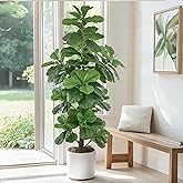 Roselywed Artificial Fiddle Leaf Fig Tree 6FT with Thick 148 Leaves Tall Large Fake Faux Tropical Ficus Lyrata Potted Plant 70 Inch Black Pot for Indoor Home Office Porch Mall Decor Housewarming Gift