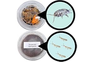TC INSECTS 10 Dairy Cow Isopods | 8oz Coco Temperate Springtails | Live Arrival Nationwide!