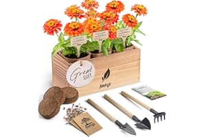 AVERGO Zinnia Flower Growing Kit - Complete Indoor Planter Set with Zinnia Seeds for Planting Indoors | with Seeds, Planter, Tools, & Soil - Complete Starter Kit