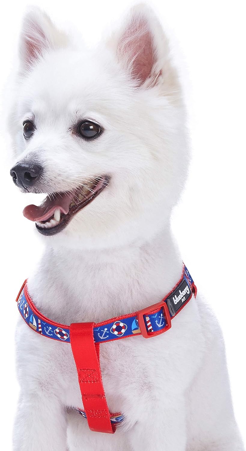 Blueberry Pet Stepin Peace Bon Voyage Nautical Blue Dream Designer Dog