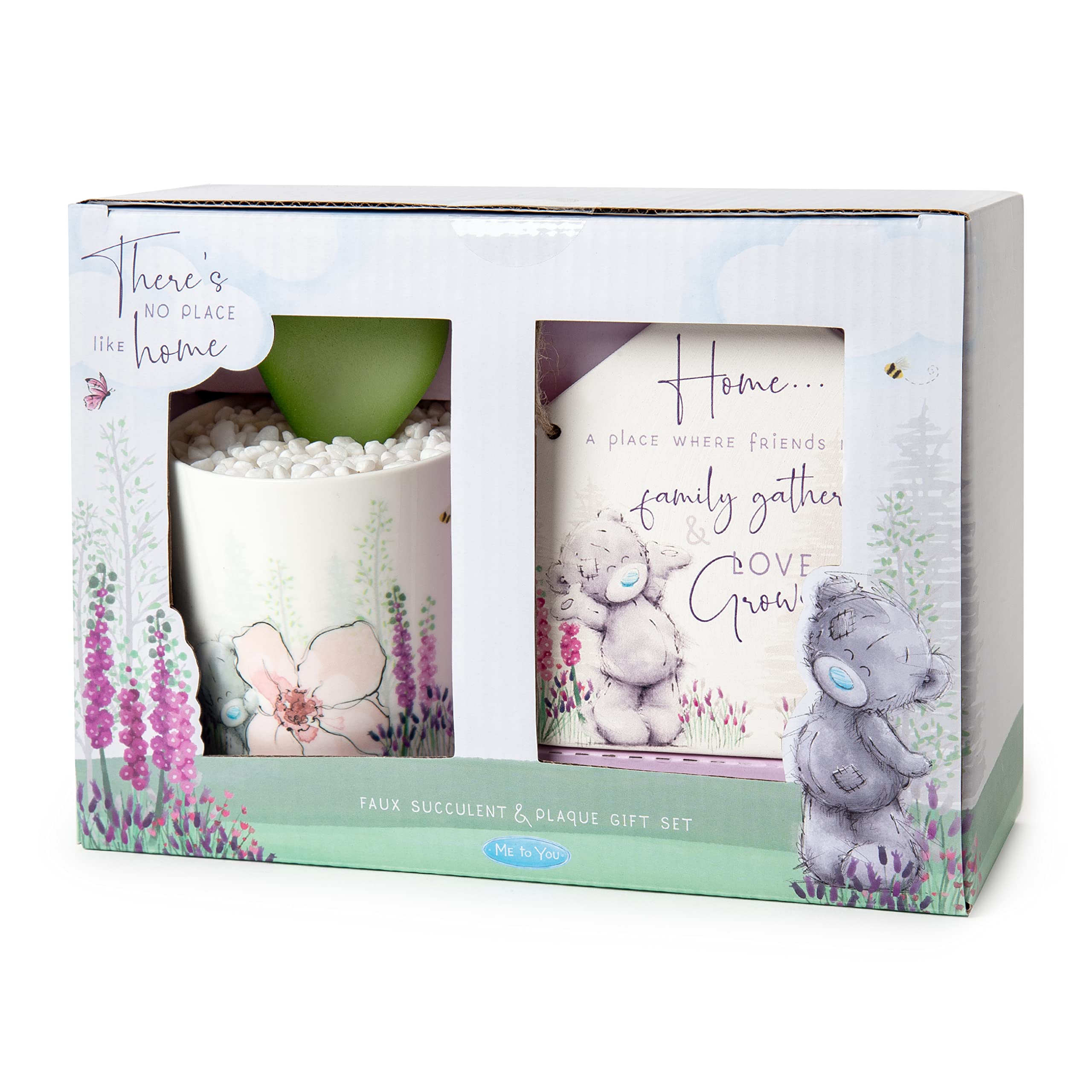 Me to You Tatty Teddy Faux Succulent and Plaque Gift Set