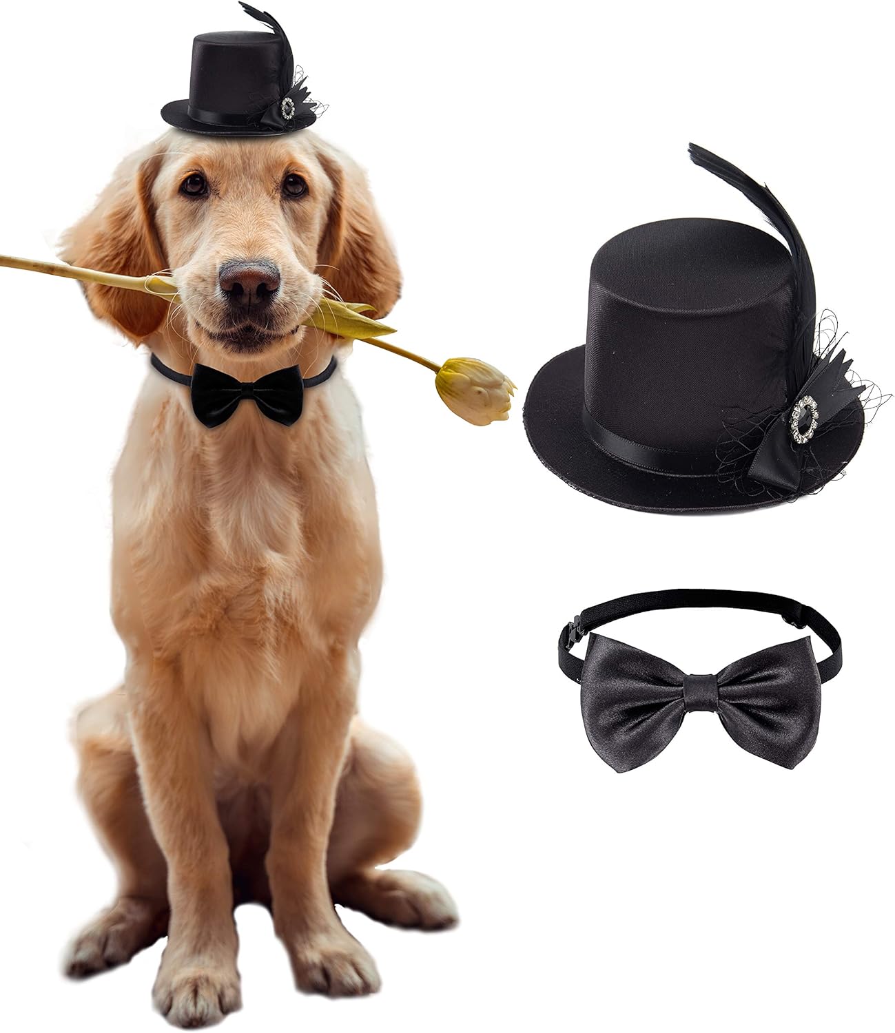 Dog top hat and bow tie Clearance