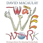The Way We Work: Getting to Know the Amazing Human Body