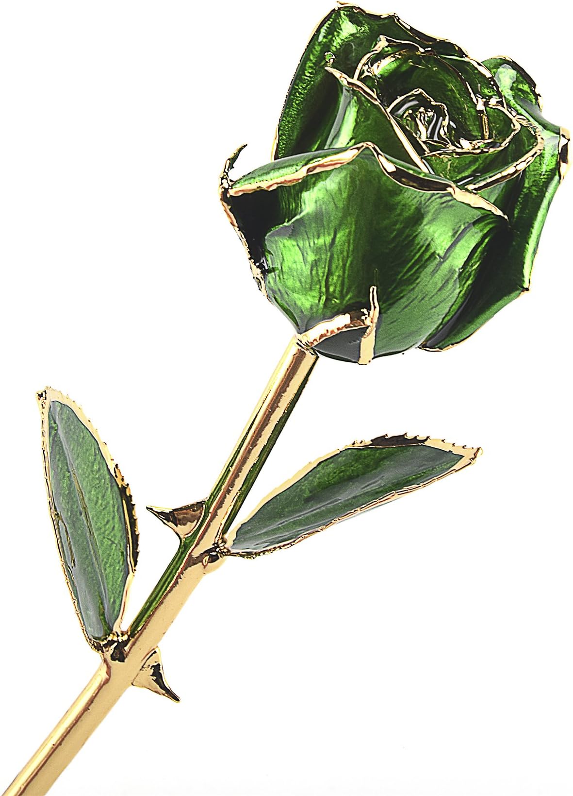 M Dream Long Stem Trimmed 24K Gold Dipped Real Rose Green 11 Inches Set of 1,Best Gift for Valentine's Day, Mother's Day, Anniversary, Birthday
