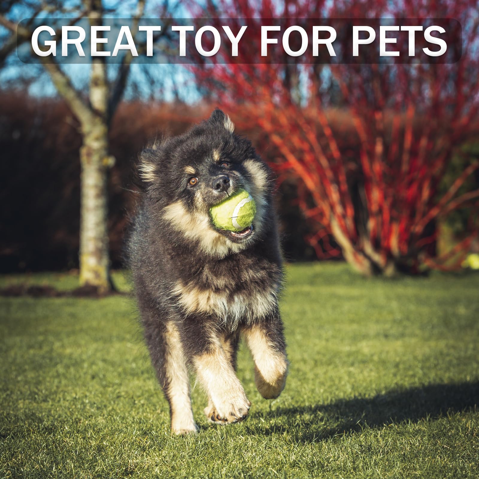 Swingers Tennis Balls, 6 Pack Training Tennis Balls, Practice Balls for Pet Dog, High Elasticity Exercise Tennis Balls for Beginner, with Mesh Carry Bag Easy to Transport