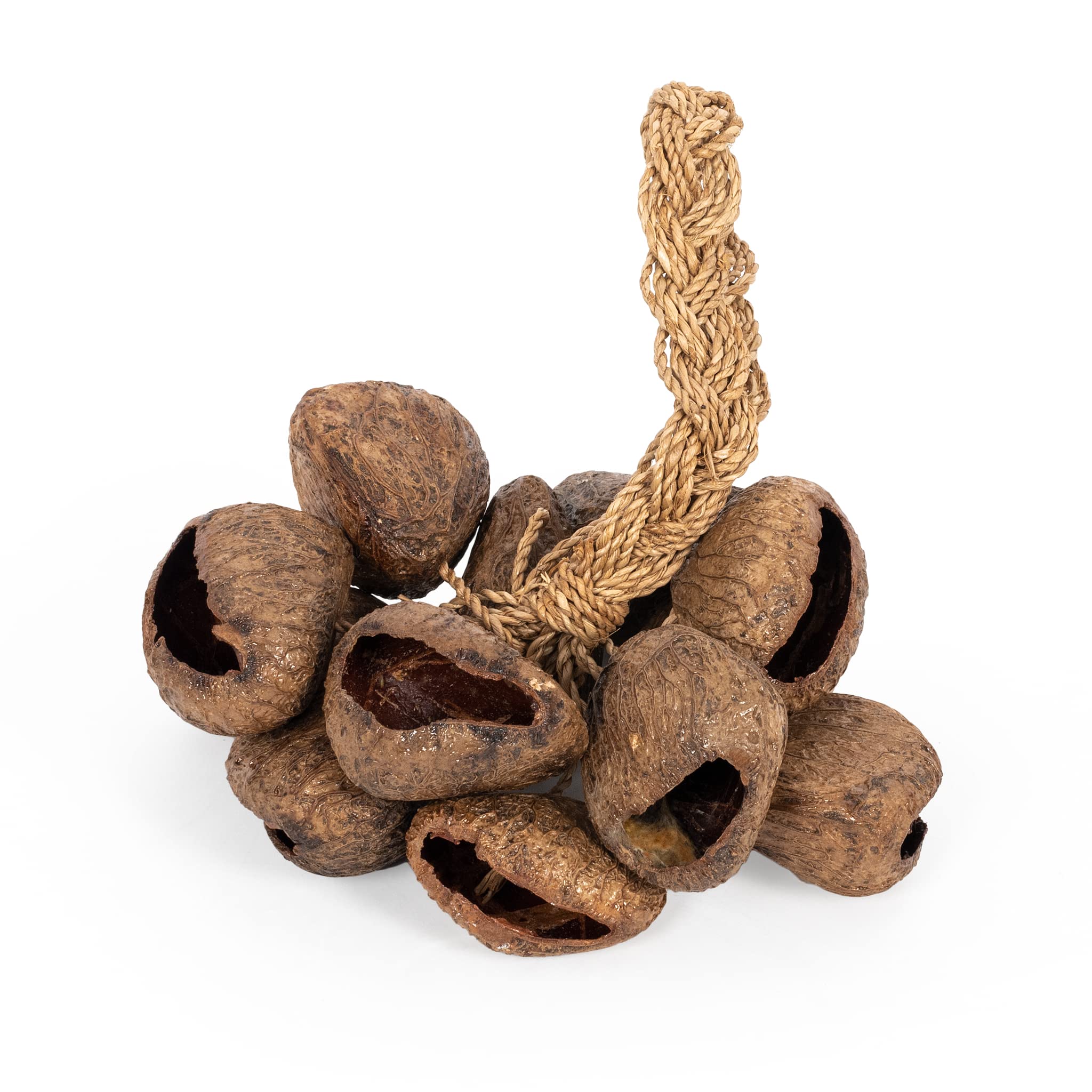 Stringed seed shaker