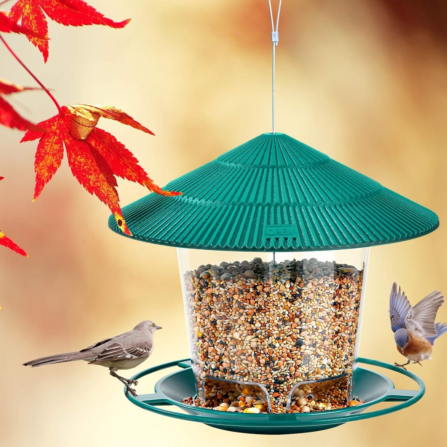 Hanizi Wild Bird Feeder, Panoramic Hanging Bird Feeder for Outside, Premium Plastic Green, Garden Decoration Yard : Garden & Outdoor