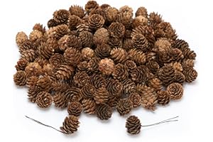 Lescli 84 Pcs Natural Mini Pine Cone Kit with Brown Iron Wires for DIY - 1.5-3cm Small Pinecones Ornaments Bulk for Crafts, V
