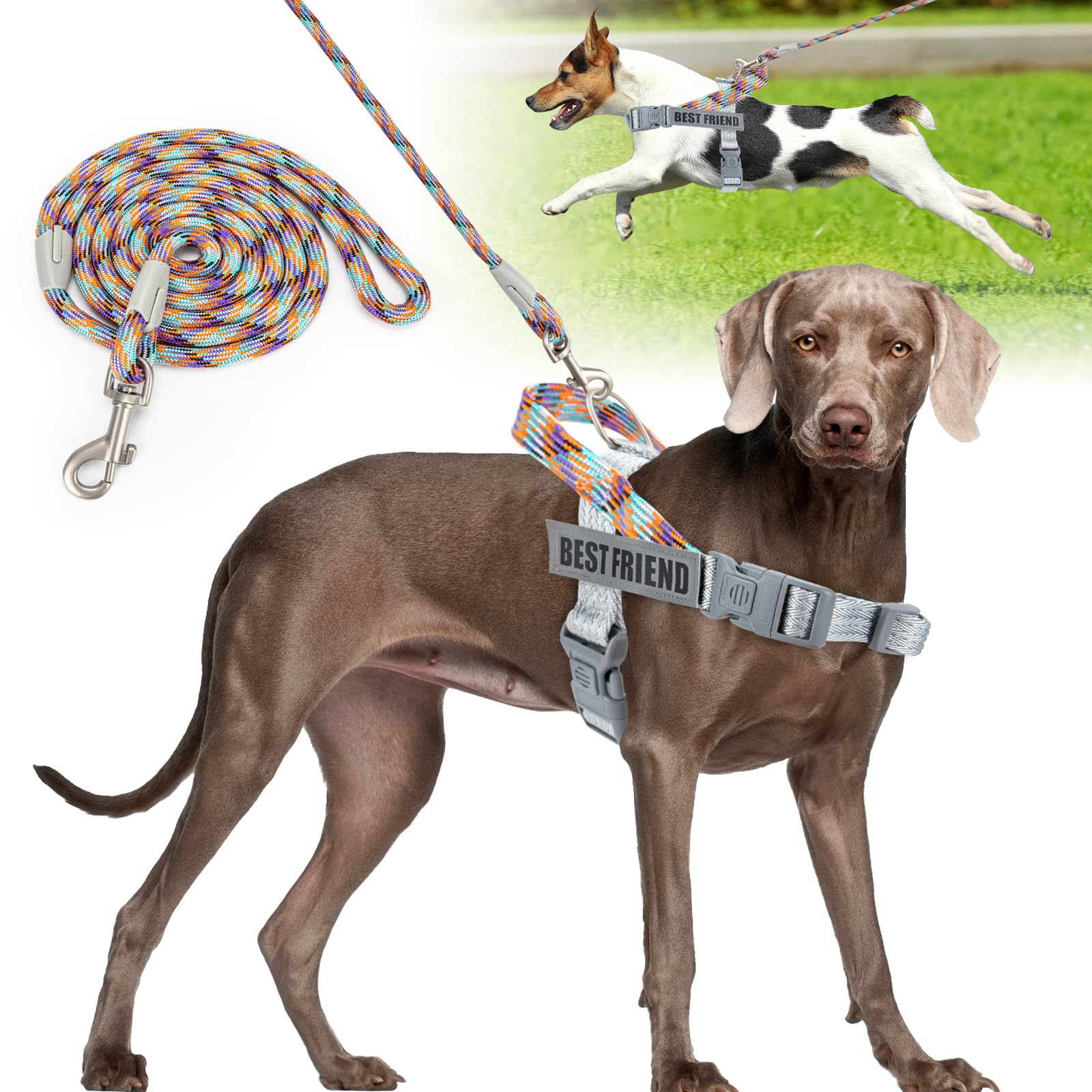 Onlyesh Dog Harness with Leash, No Pull Harness for Dogs (Silver, S)