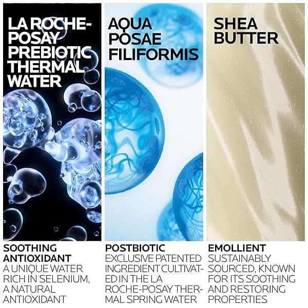 LA ROCHE-POSAY LIPIKAR AP+ GENTLE FOAMING MOISTURIZING WASH, SHEA BUTTER + NIACINAMIDE + GLYCERIN, MOISTURIZING BODY WASH FOR DRY SKIN, NATIONAL ECZEMA ASSOCIATION ACCEPTED, SOAP FREE