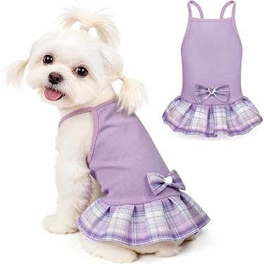 Amazon.com New Releases: The best-selling new & future releases in Dog  Dresses