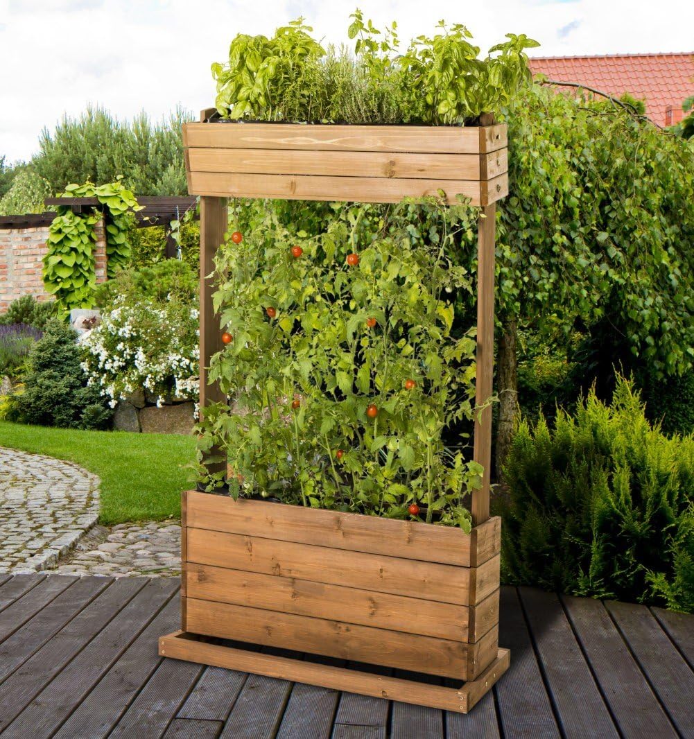 Bancal Madera Macetero mesa Beet hierbas Valla de tomates pérgola ...