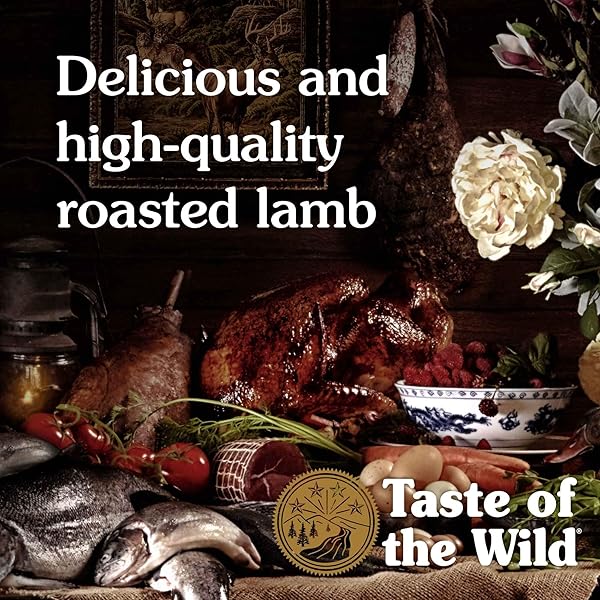 TASTE OF THE WILD SIERRA MOUNTAIN CANNED DOG FOOD, 13.2 OZ, MEDIUM