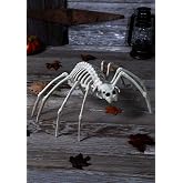 Seasons 20" Spider 'Skeleton'
