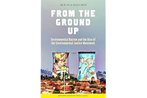 From the Ground Up: Environmental Racism and the Rise of the Environmental Justice Movement (Critical America Book 34)