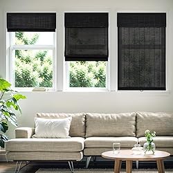 Pasoun Cordless Roman Shades for Windows, Window