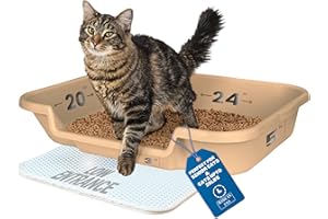 NE14PETS KittyGoHere Senior Cat Litter Box 1 Pack, Large Beach Sand Low Entrance Kitty Litter Box, Sized for Cats Comfort, Perfect for Senior and Arthritic Cats, Made in USA