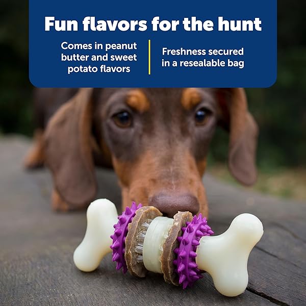 PETSAFE BUSY BUDDY NATURAL RAWHIDE RINGS – PEANUT BUTTER FLAVOR CHEWS – HIGH PROTEIN RAWHIDE RINGS – ENGAGING DOG CHEW RINGS – INTERACTIVE DOG TREATS FOR TRAINING & PLAYTIME – SIZE A