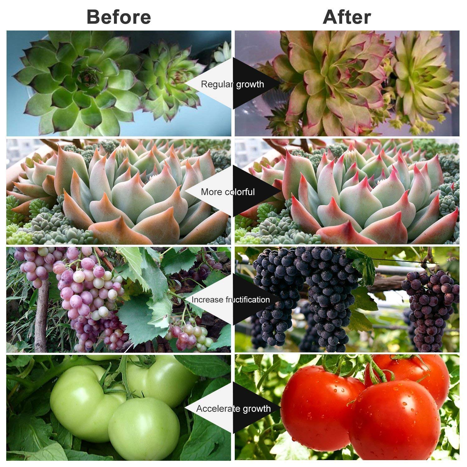 Plant Grow Light for Indoor Plants, Auto ON/Off Every Day, 27W 54 LED 5 Dimmable Levels Grow Lamp with Red, Blue Spectrum, 4/8/12H Memory Timing for Hydroponics Greenhouse (27W Triple Heads)