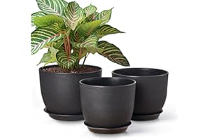 Gardrium Plant Flower Pots 10/9/8 inch Set of 3, Plastic Planters with Drainage Hole for Indoor Outdoor Garden, Black