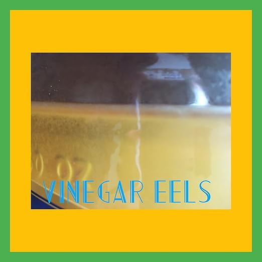 Vinegar Eels Starter Culture .5oz Pet Supplies
