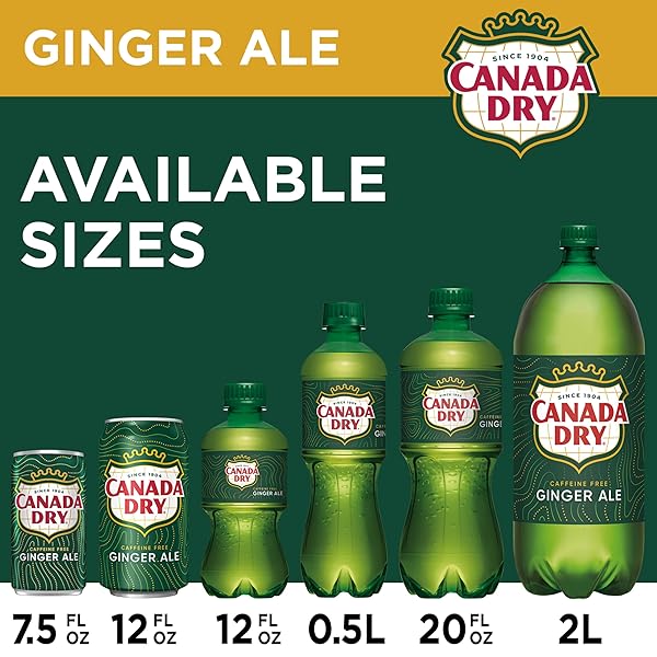 CANADA DRY GINGER ALE SODA, 12 FL OZ CANS, 12 PACK